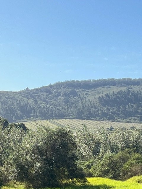  Bedroom Property for Sale in Wittedrift Western Cape